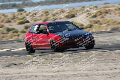 media/Oct-24-2025-Doghouse Garage (Fri) [[783d2ff07a]]/1-Advanced/Session 2 Turn 5 Tree of Life/